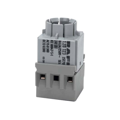 RAFI 1.20.123.101/0000 Switching Element