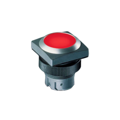 Rafi 1.30.240.061/1301 Illuminated Pushbutton