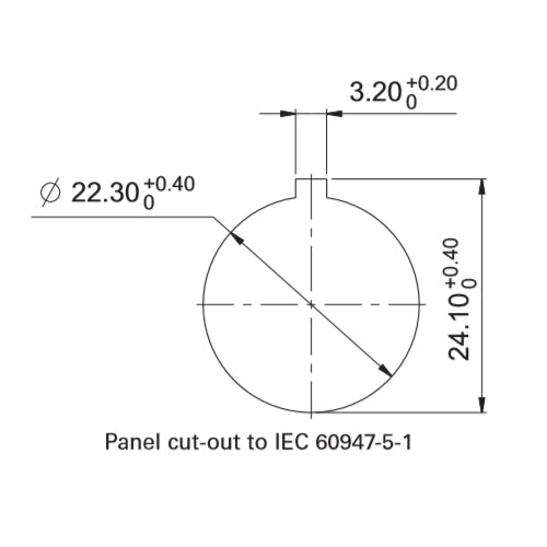 Rafi 1.30.273.001/2300 Illuminated Pushbutton